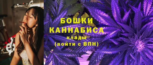 дживик Майский