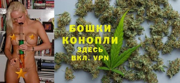 СК Медногорск