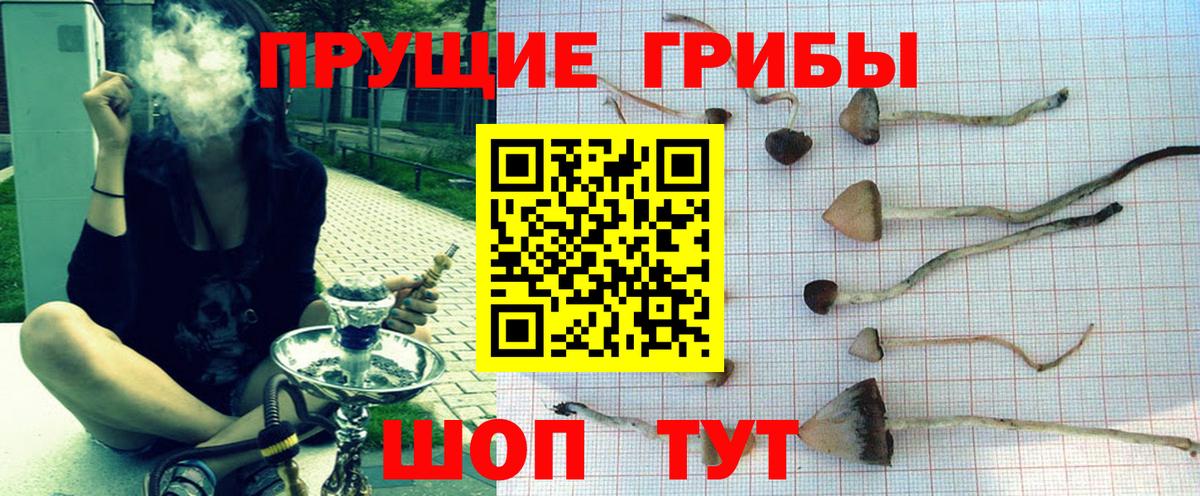 Псилоцибиновые грибы мицелий Киржач