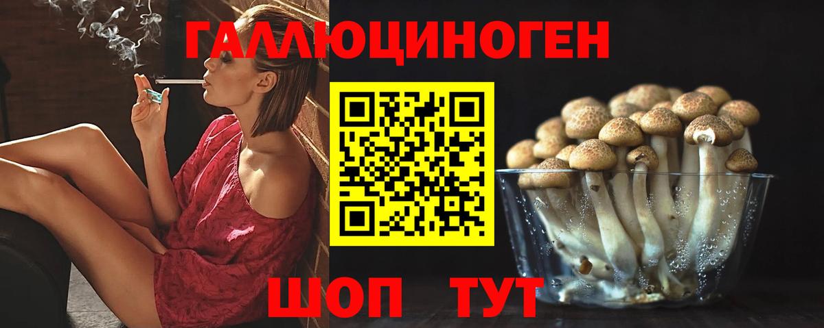 Псилоцибиновые грибы Psilocybine cubensis  Вход с VPN  Киржач 