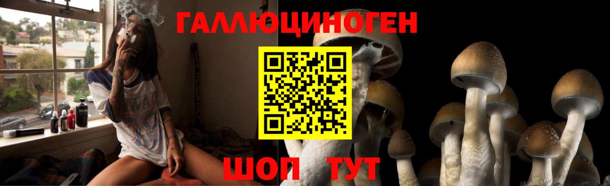 Галлюциногенные грибы MAGIC MUSHROOMS Киржач
